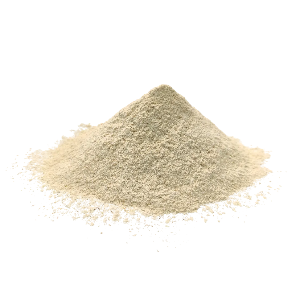 پودر سیر ایرانی