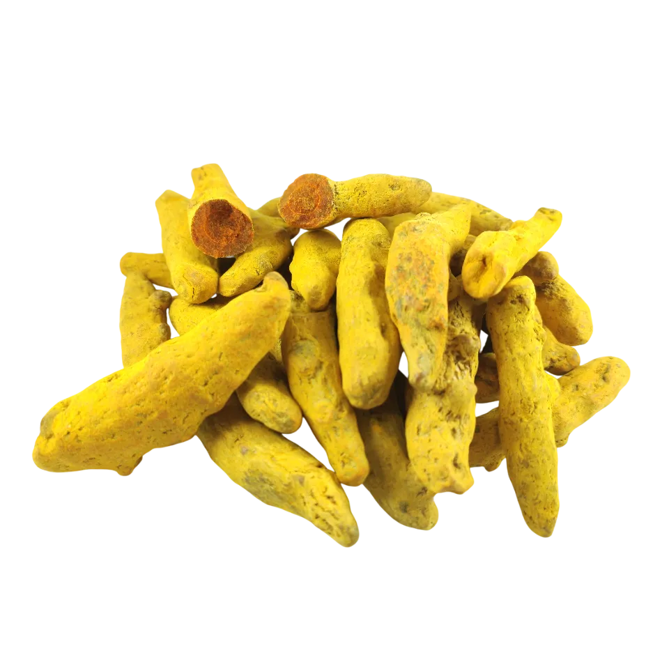 زردچوبه قلم چارمنار هند