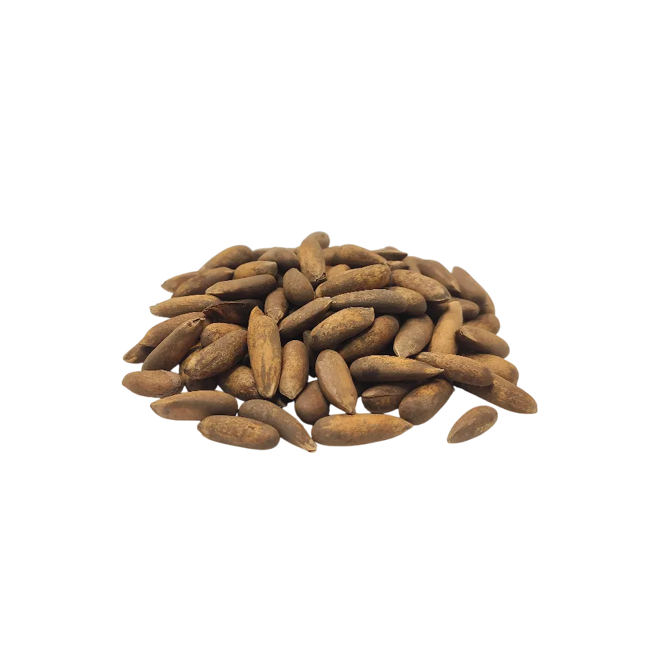 چلغوز (تخم صنوبر)