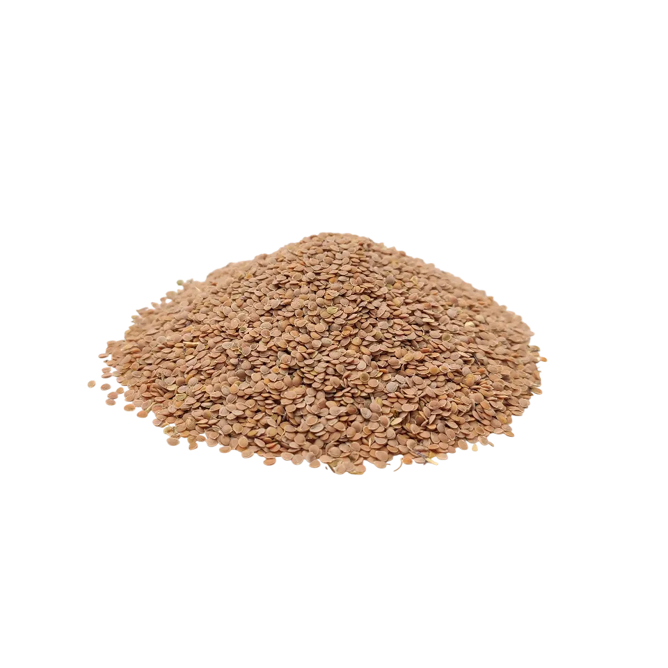 قدومه شیرازی