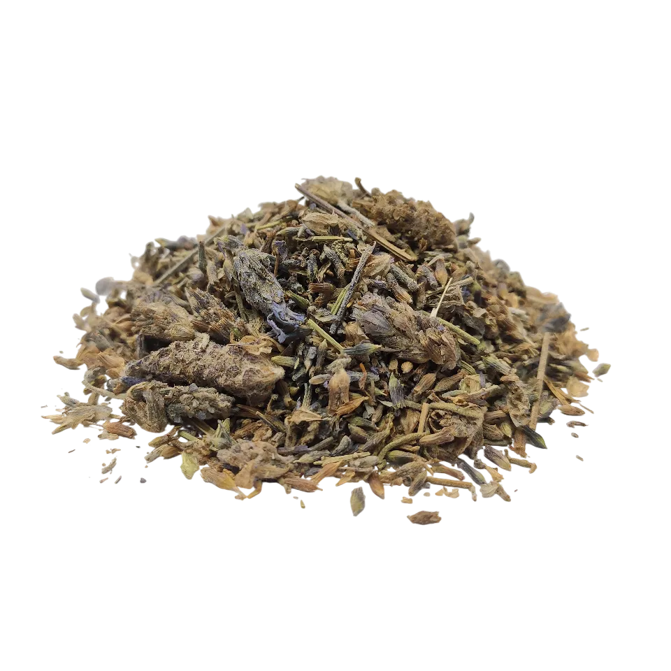 اسطوخودوس خارجی